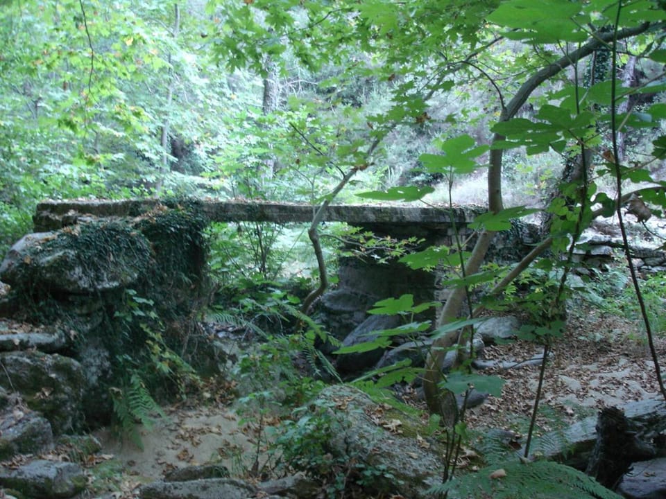 Despina Studio Raxes Ikaria #2 Apartment in Icaria