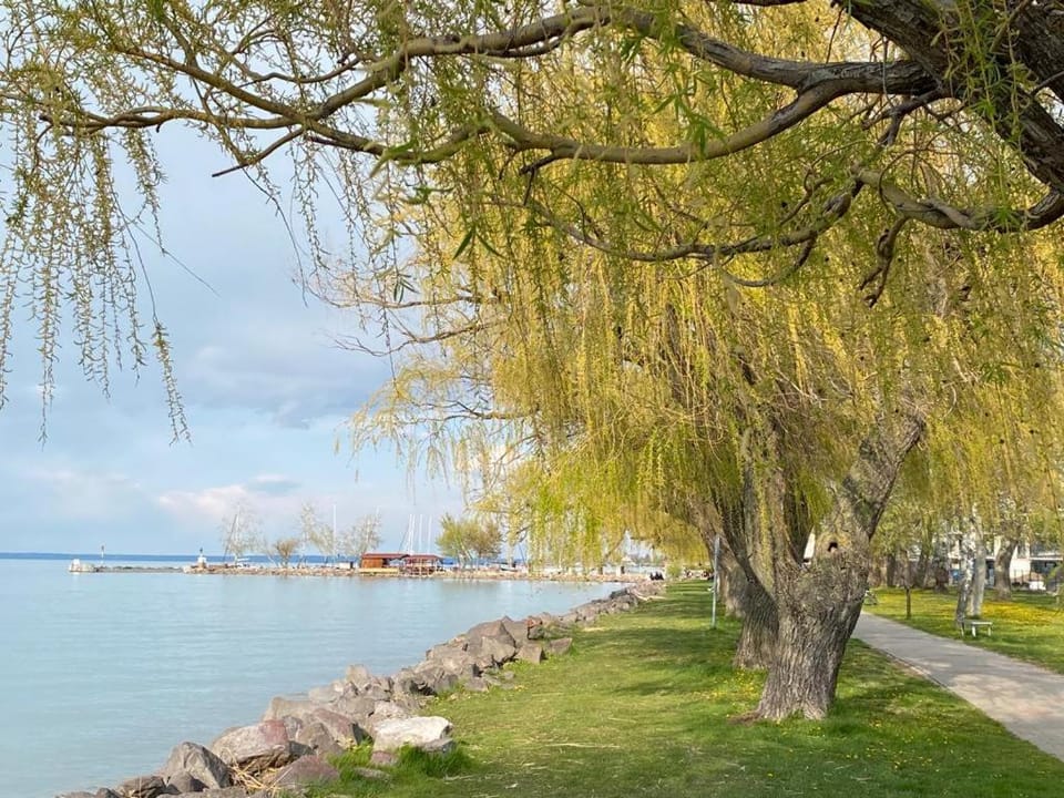 Off site, Beach, Lake view