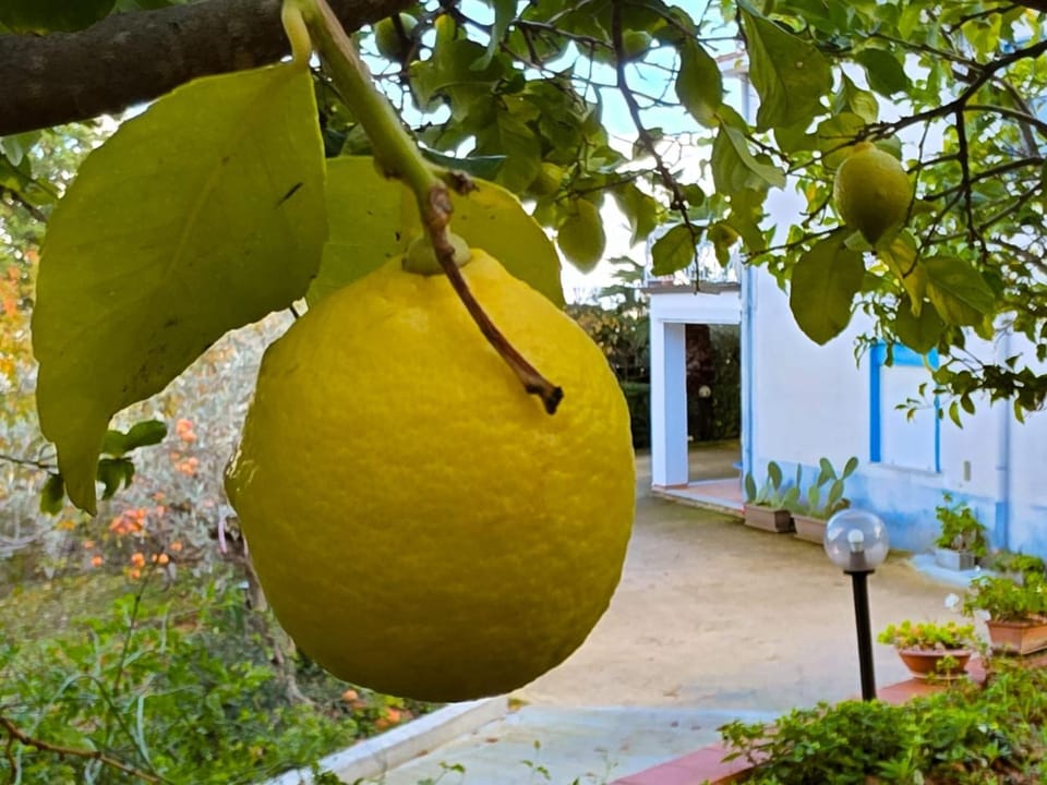 Valateddi House in Sicily