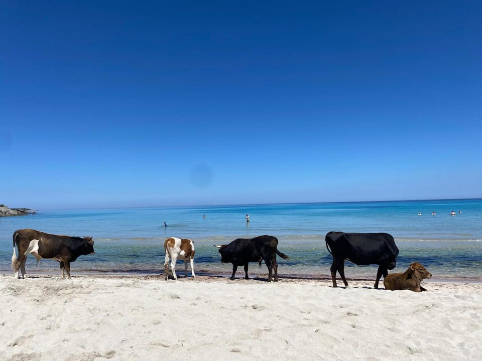 Day, Natural landscape, Beach, Sea view