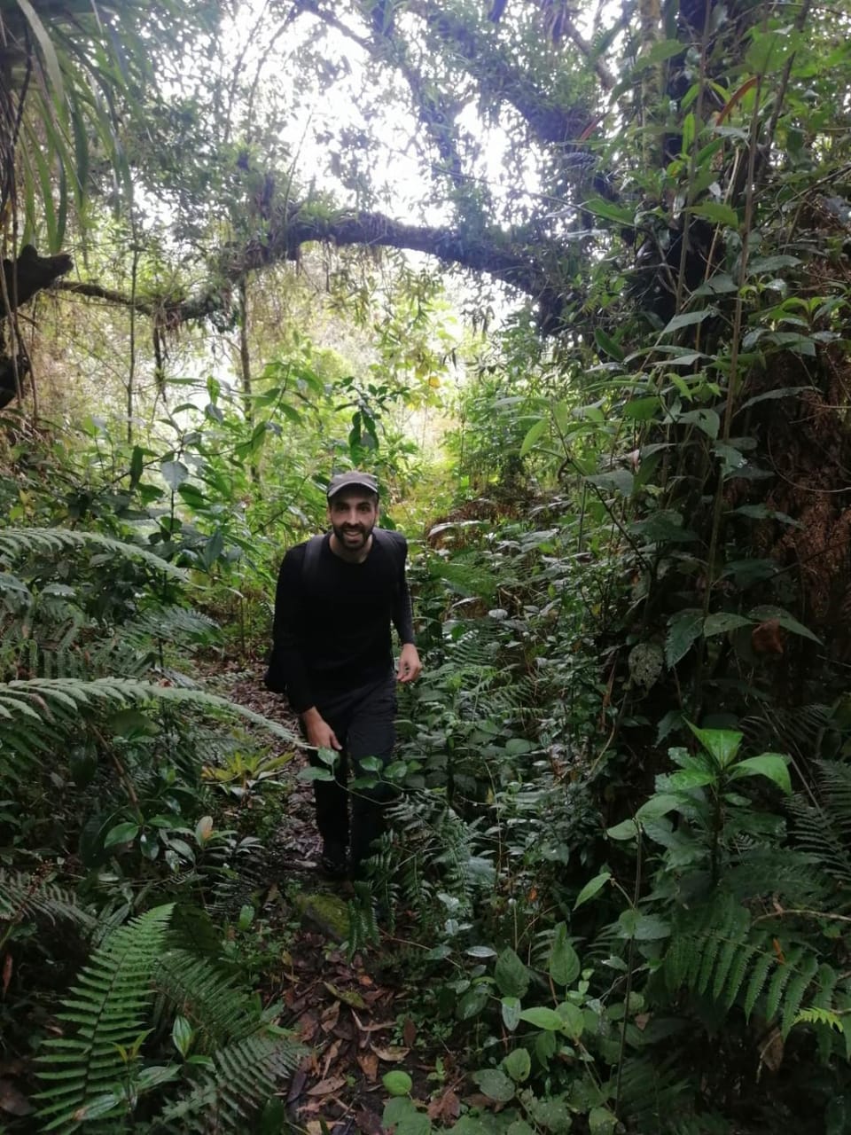 Hiking, Hiking, Guests