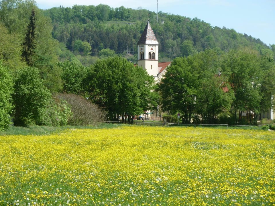 Natural landscape