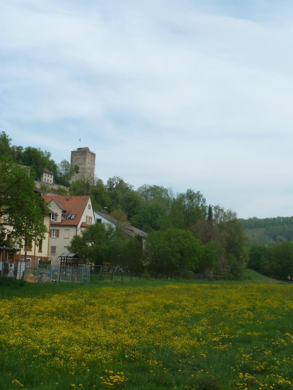 Natural landscape