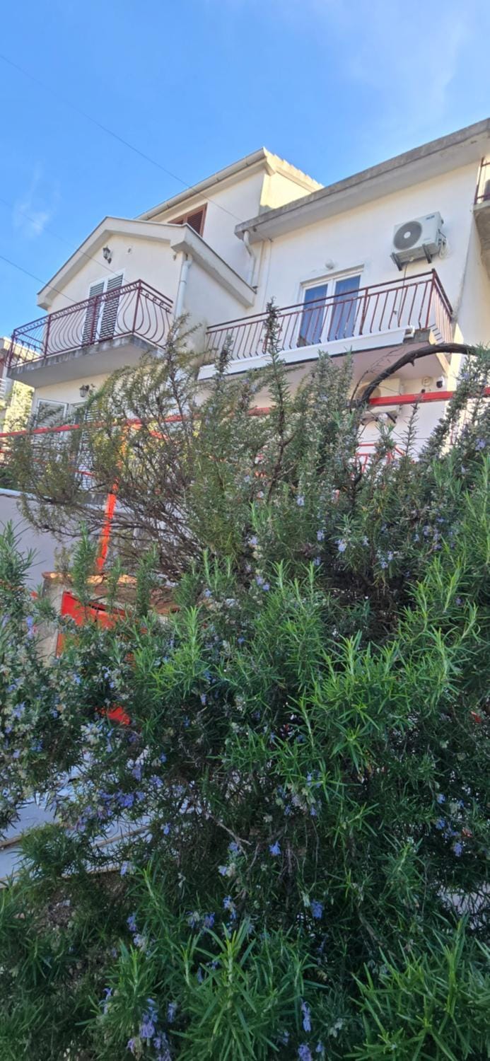 Day, Garden, Garden view