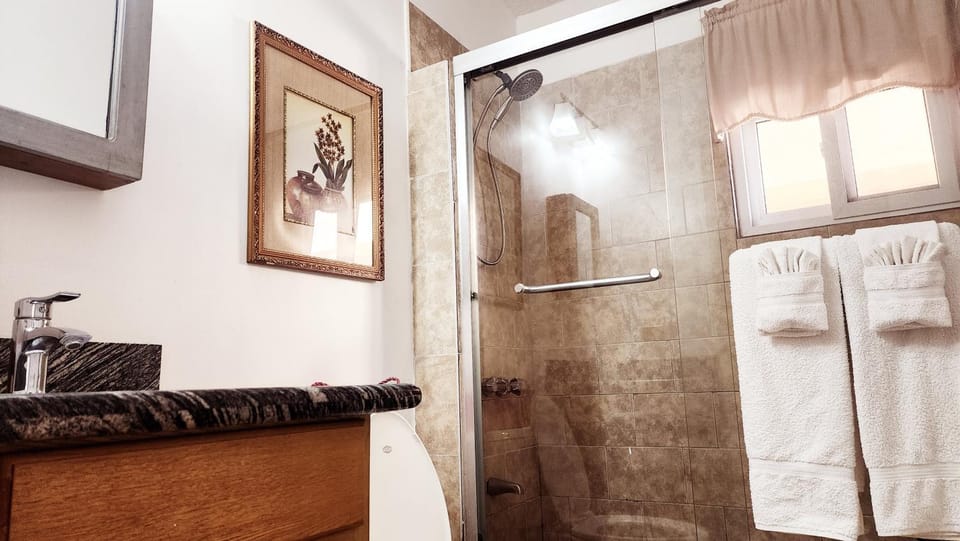 Shower, Bathroom, towels