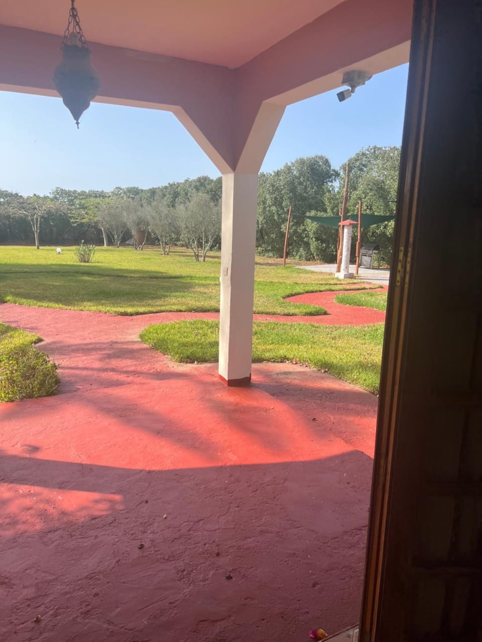 Garden view