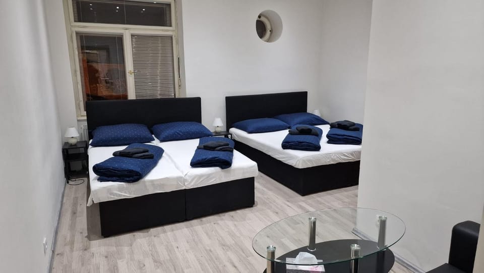 Apartment Flora - late check-out at noon 12 o clock for free Apartment in Bratislava