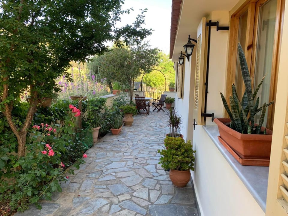 Patio, Facade/entrance, Garden