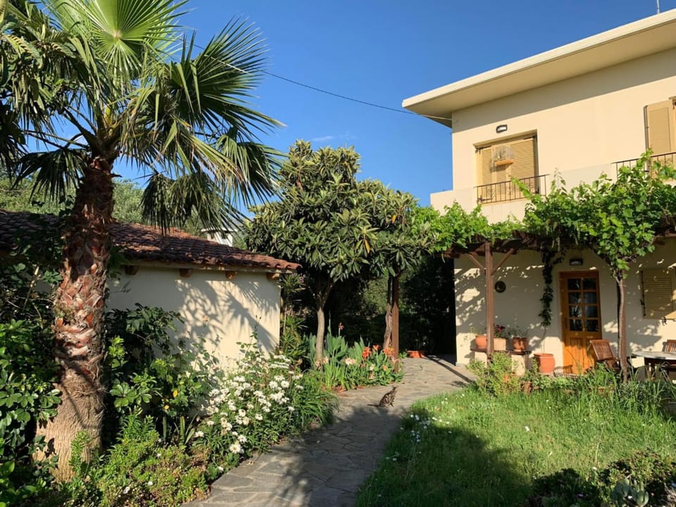 Property building, Garden
