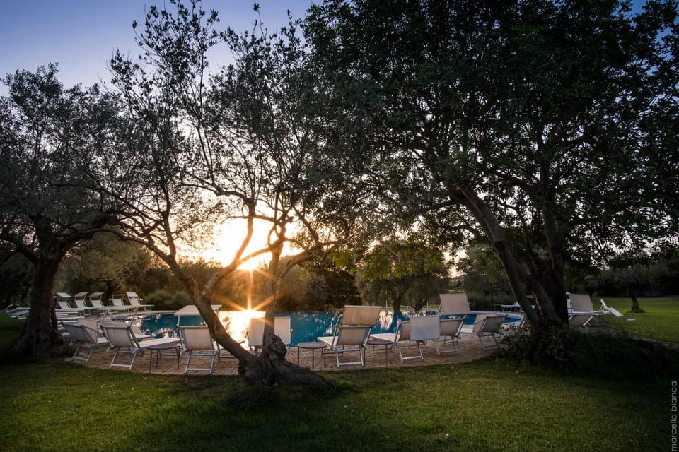 Garden, Swimming pool