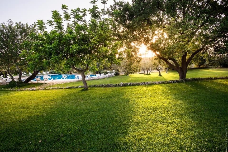 Garden, Swimming pool