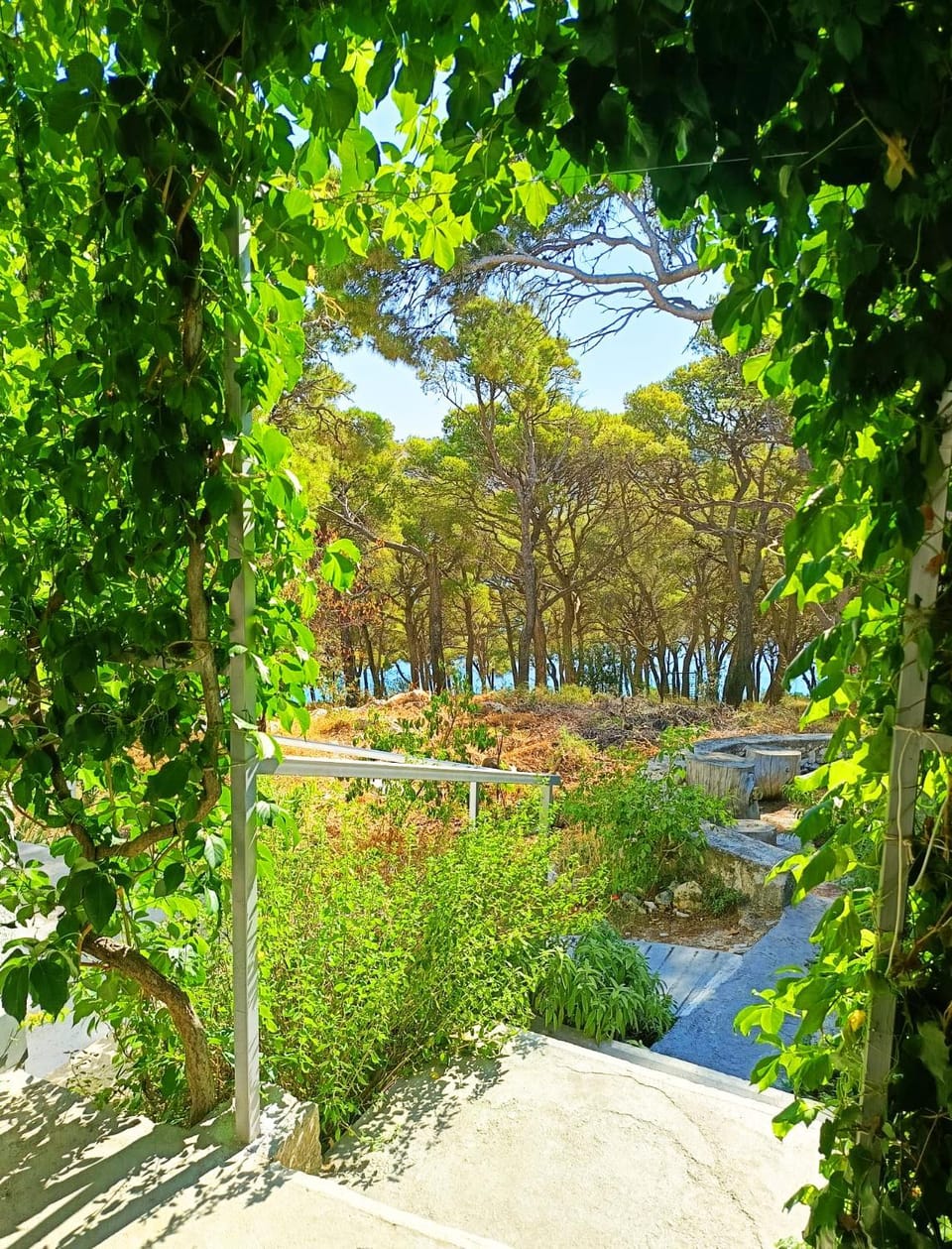 Garden, Garden, View (from property/room), View (from property/room), Balcony/Terrace, Garden view
