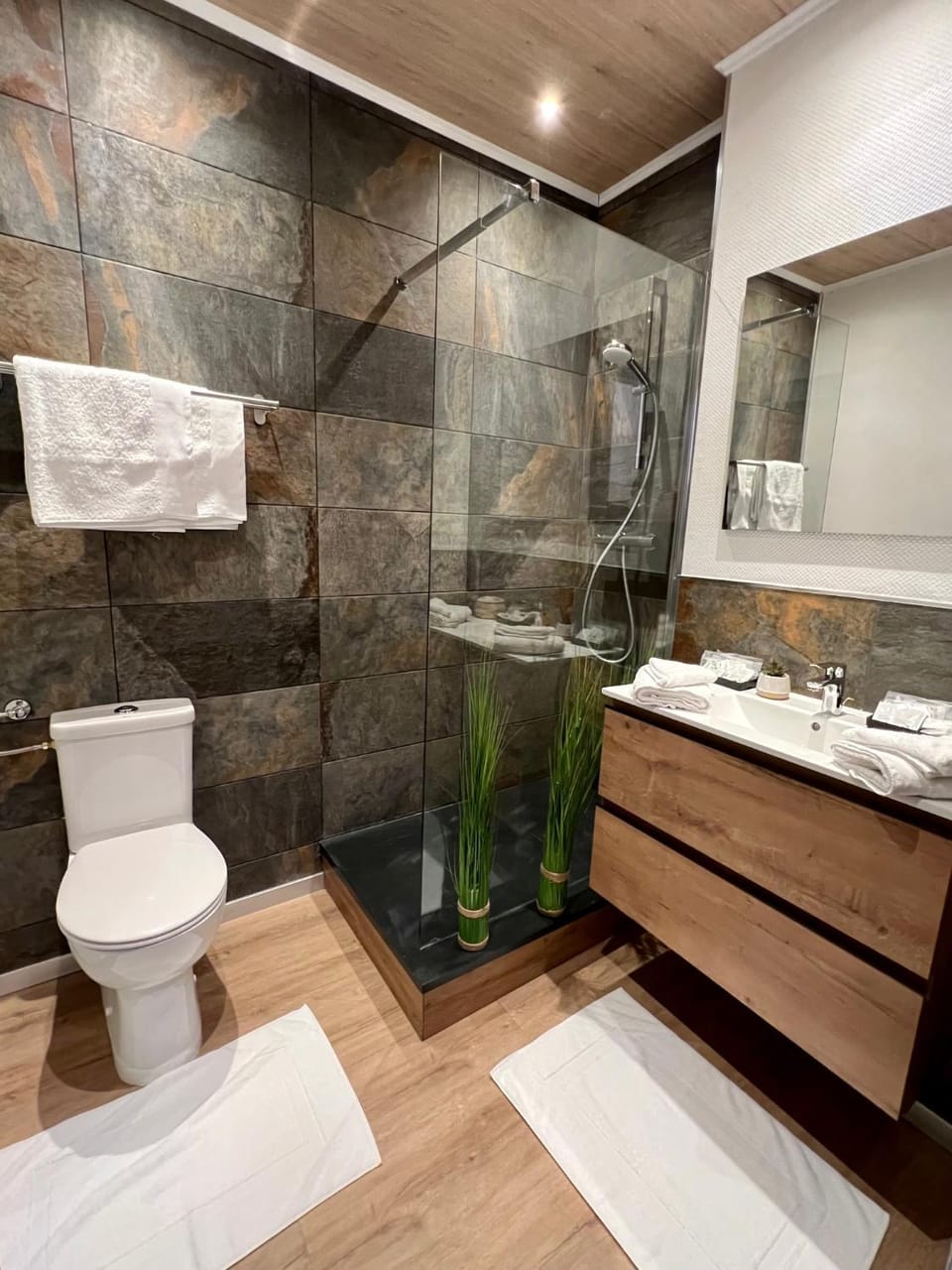Shower, Toilet, Bathroom, towels