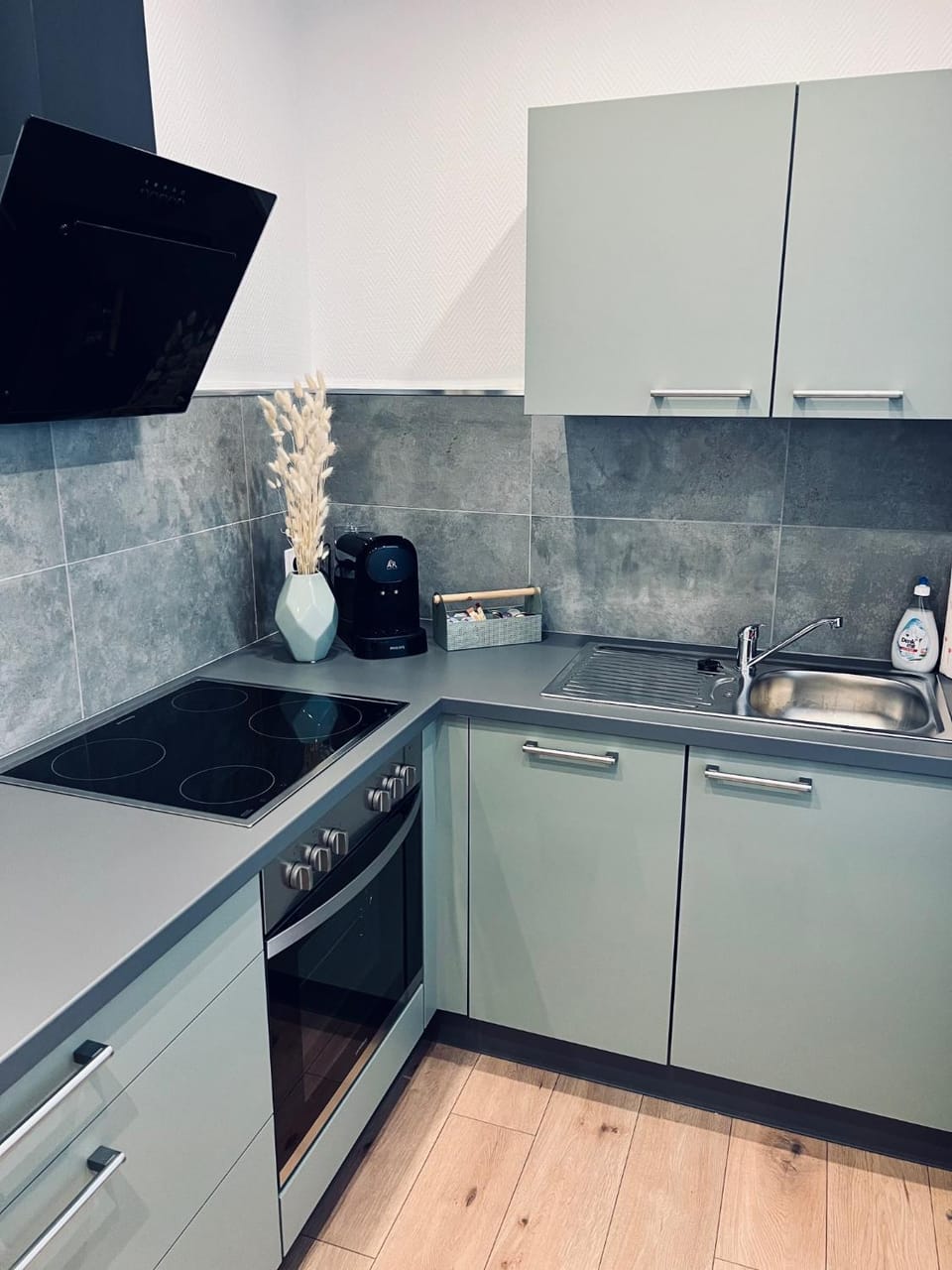 Kitchen or kitchenette, dishwasher, pet friendly, stove