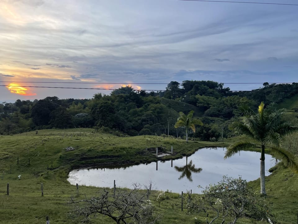 Natural landscape, Lake view, Sunset