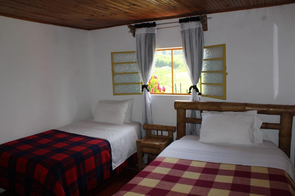 Bed, Photo of the whole room, Bedroom, Garden view, Garden view