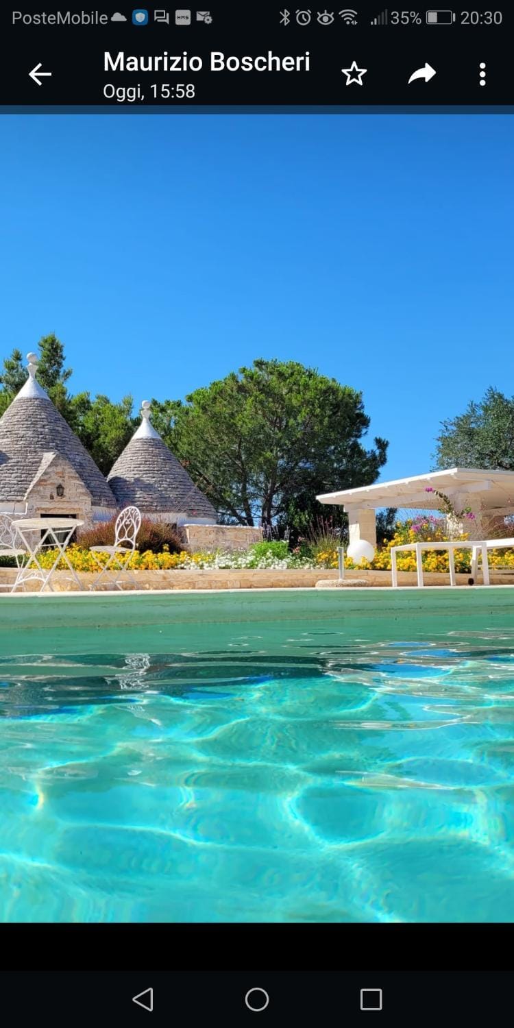 Pool view, Swimming pool, sunbed