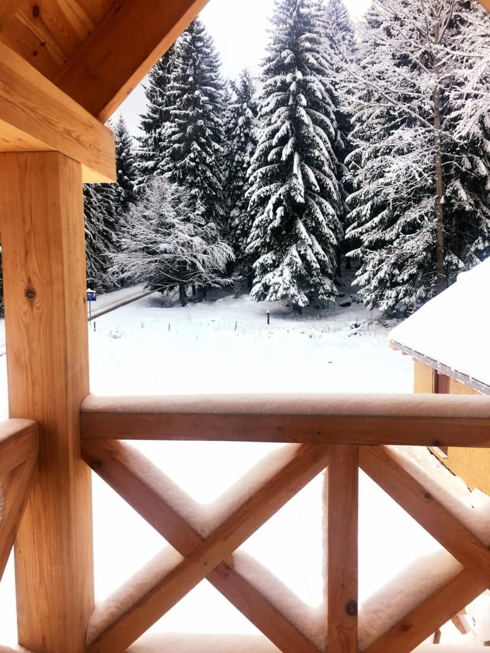 Natural landscape, Winter
