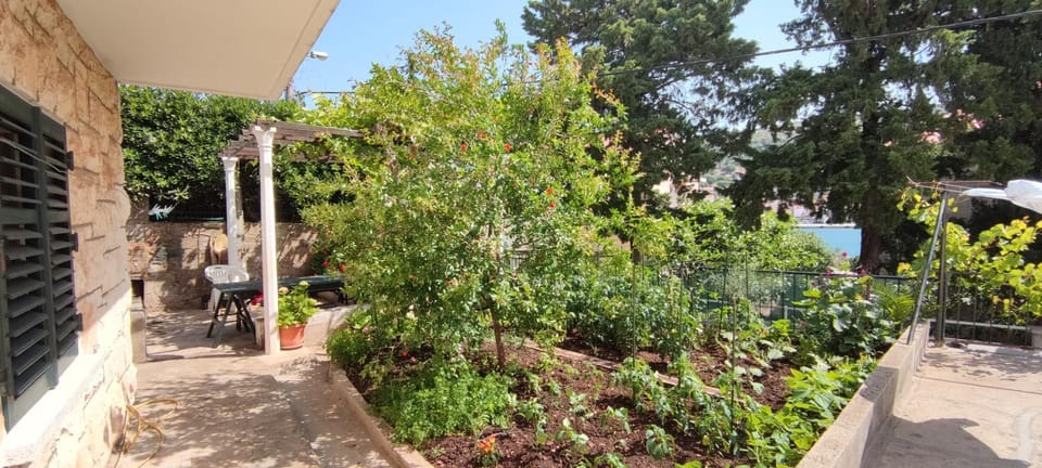 Garden, Balcony/Terrace, Garden view
