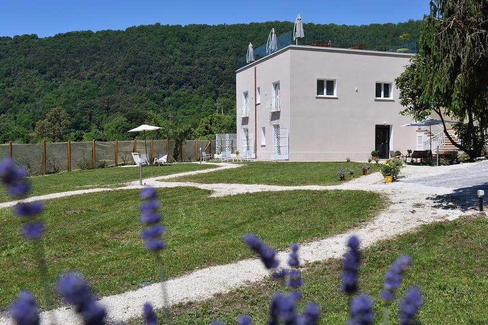 Property building, Natural landscape, Garden, Garden view