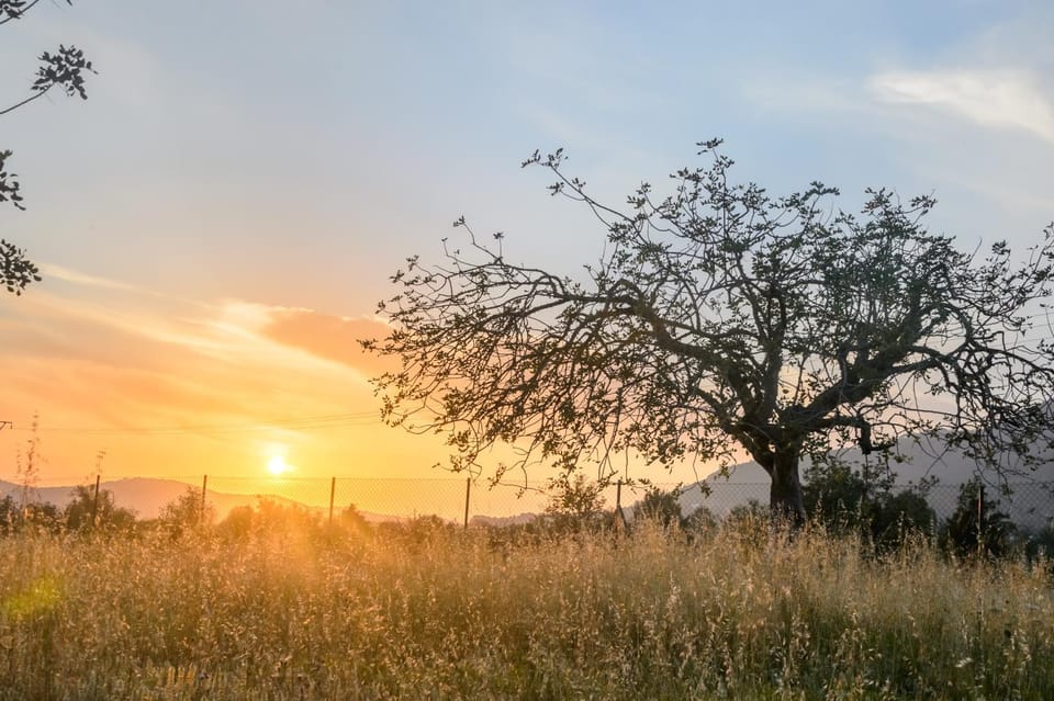 Natural landscape, Sunset