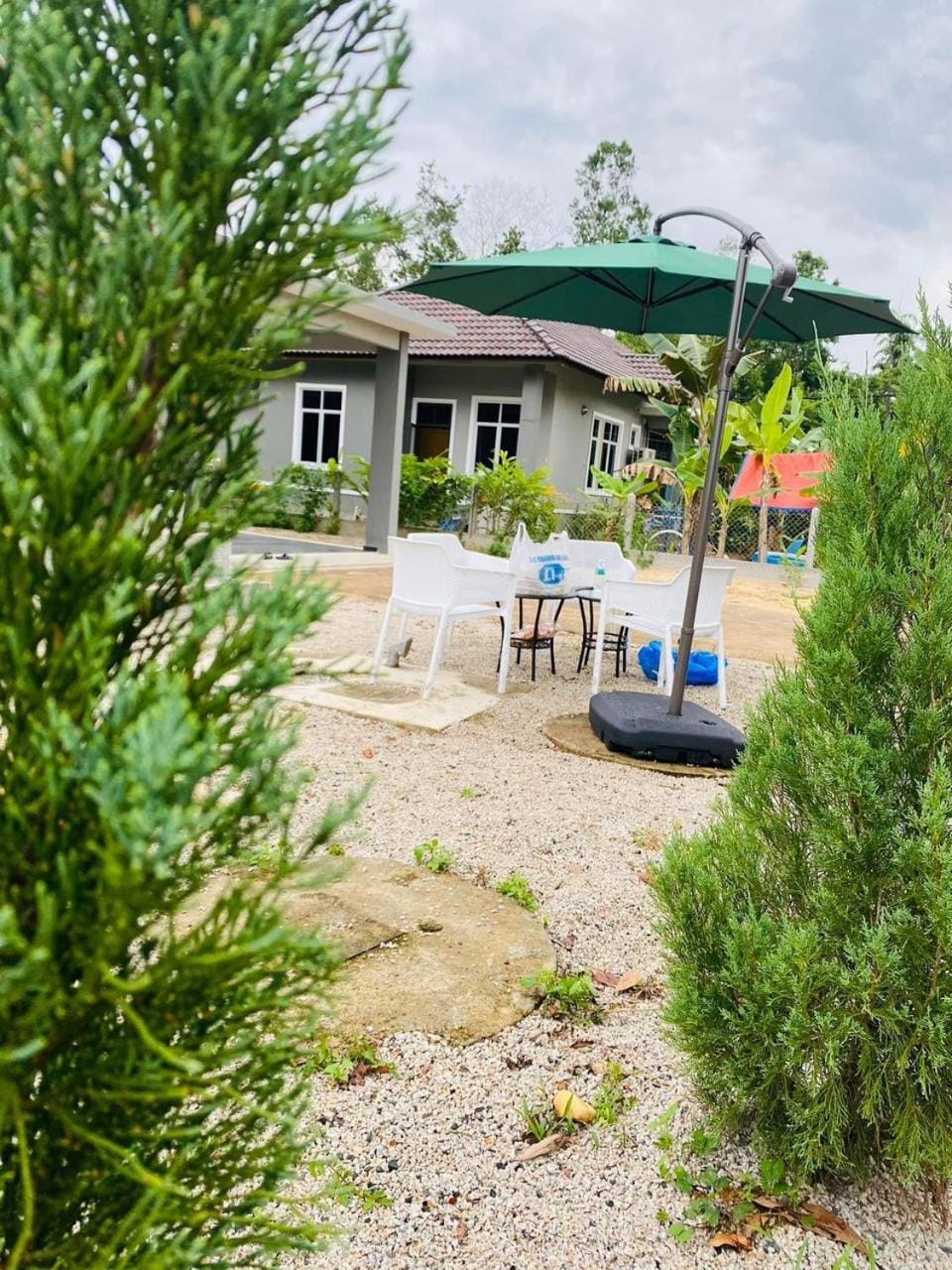 Patio, Garden