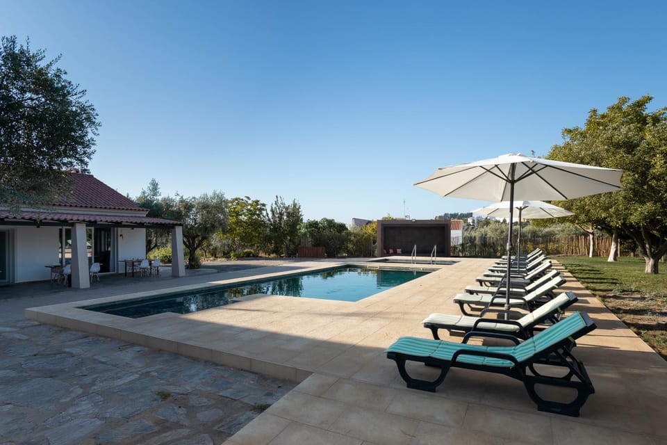 Property building, Natural landscape, Pool view, Swimming pool, sunbed