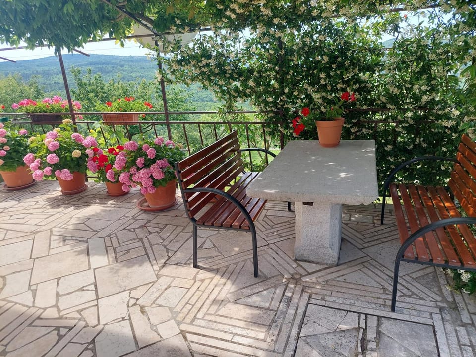 Balcony/Terrace, Balcony/Terrace