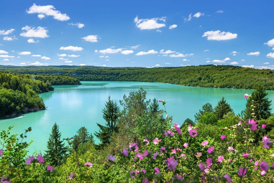 Lake view