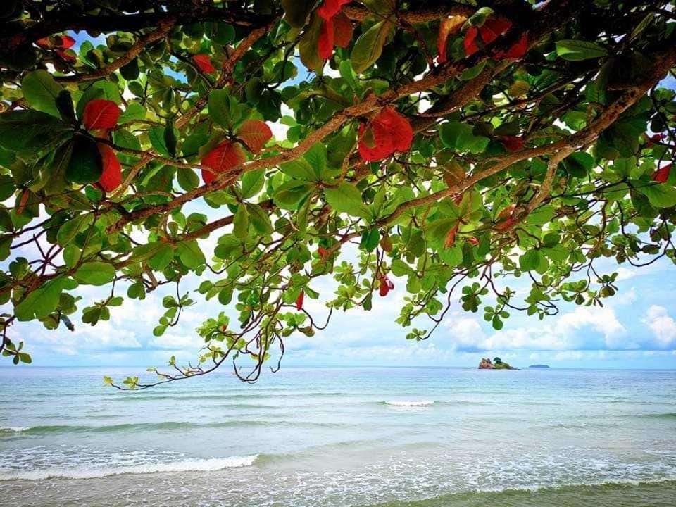 ทีพักติดหาดแหลม​แม่พิมพ์​Mantra Condo​ Rayong​ Apartment in Thailand