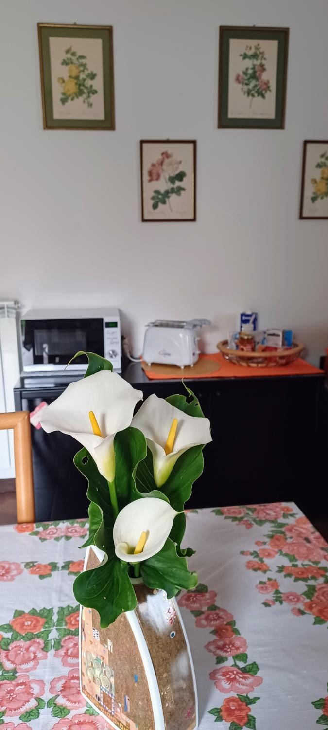 Luminoso tra i rami del Lago di Como, Sormano Apartment in Province of Lecco