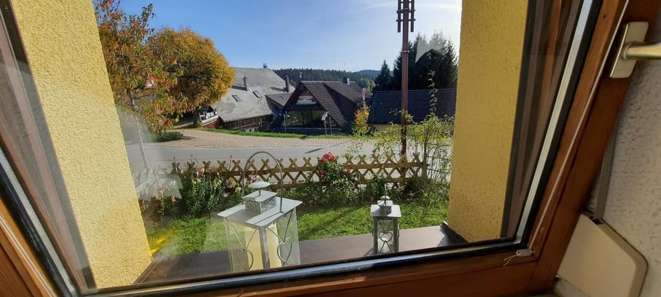 Ferienwohnung Seelust Apartment in Schluchsee