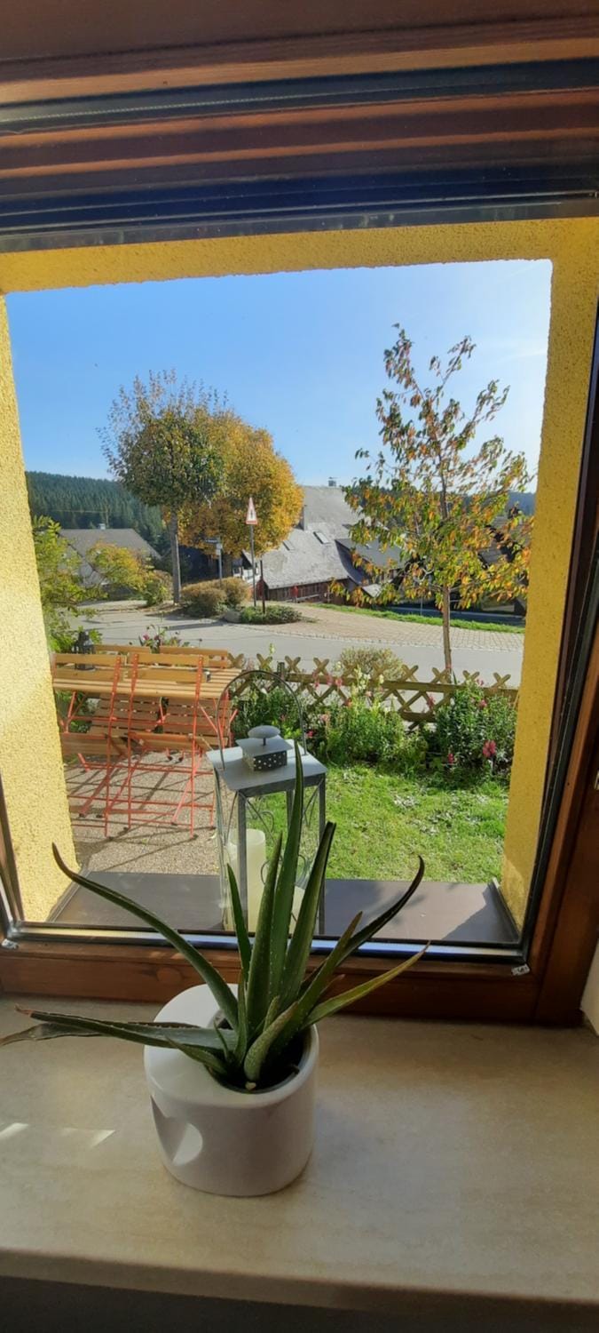 Ferienwohnung Seelust Apartment in Schluchsee