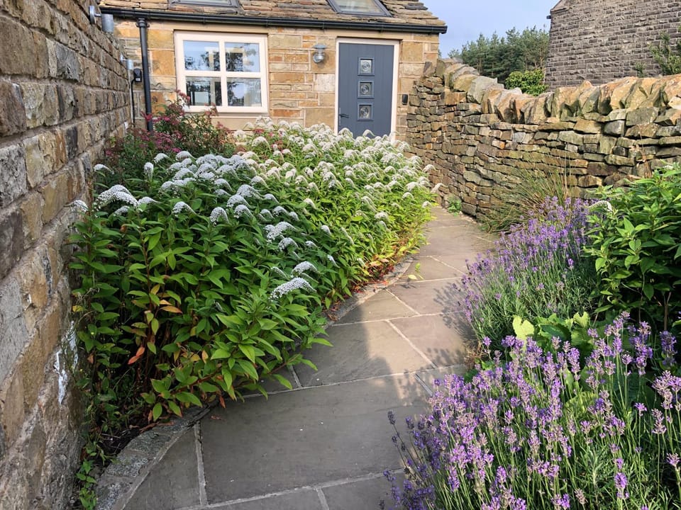 Garden view