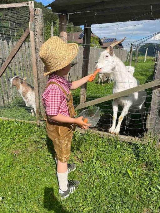 Garden, Animals, children