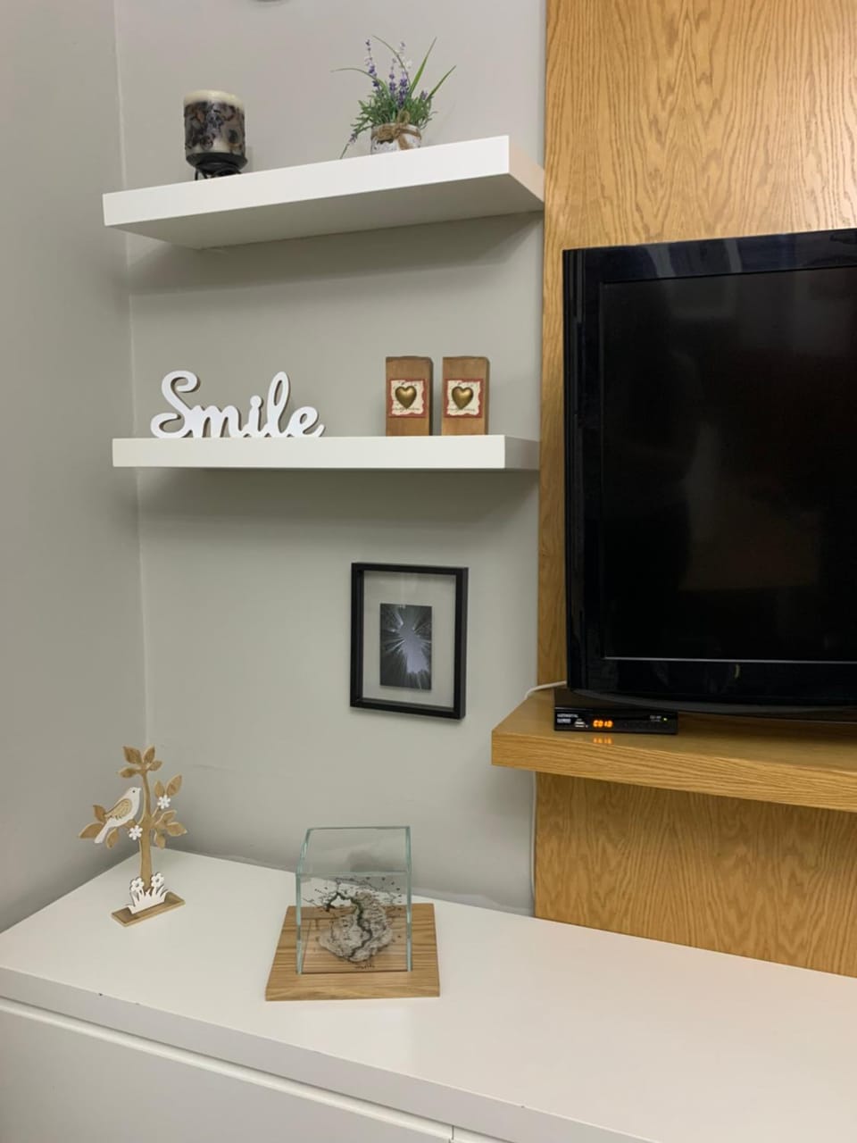 TV and multimedia