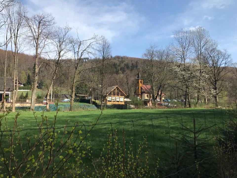 Bukowy Las Vacation rental in Poland