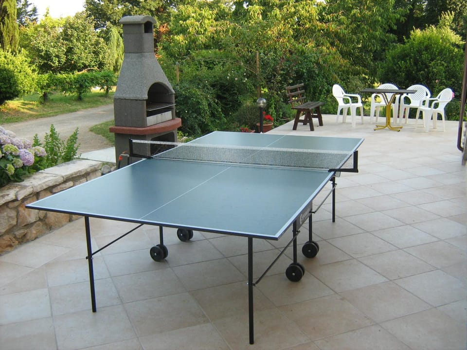 Table tennis