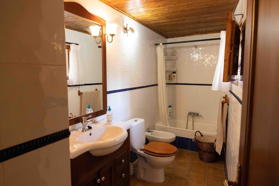 Shower, Toilet, Bathroom, Bath, bidet, towels