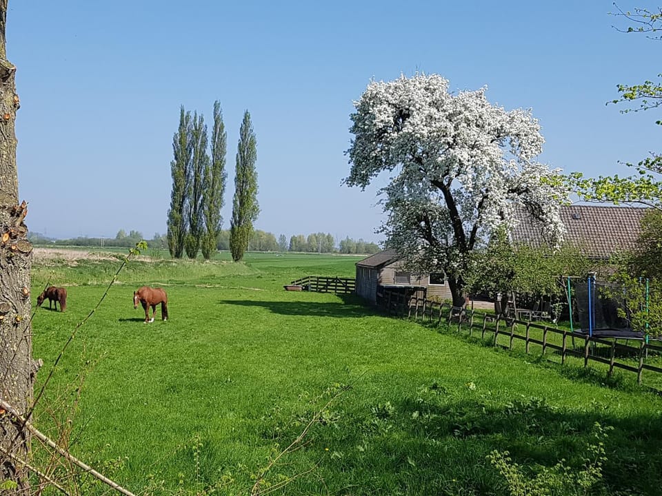 Het Voorhuis boerderij Hoeve Vrede Best Bed and Breakfast in Amsterdam