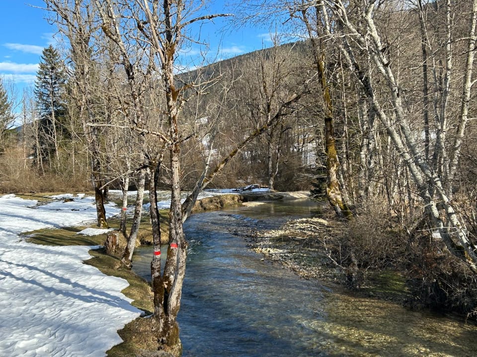 Natural landscape