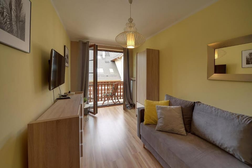 TV and multimedia, Balcony/Terrace, Living room, Evening entertainment