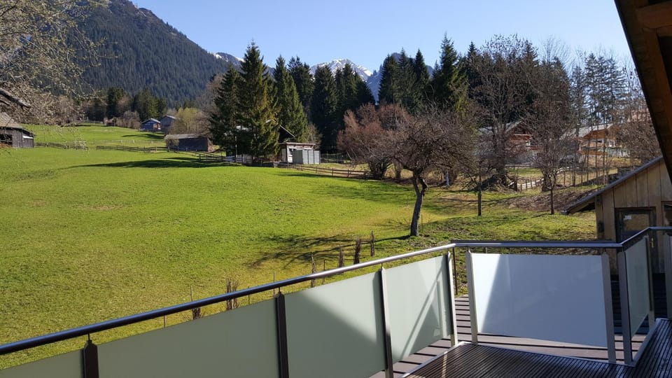 Ferienwohnung Stelzis Apartment in Vorarlberg, Austria