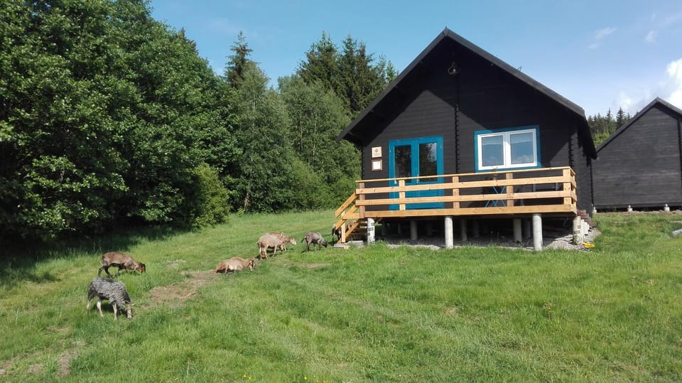 Dziewięćsił Blisko ziemi Góry Stołowe Duszniki Zdrój House in Lower Silesian Voivodeship
