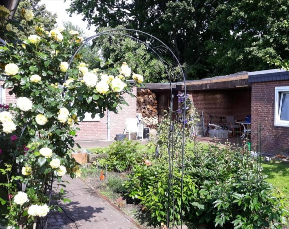 Day, Garden