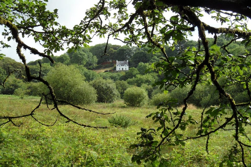 Property building, Natural landscape