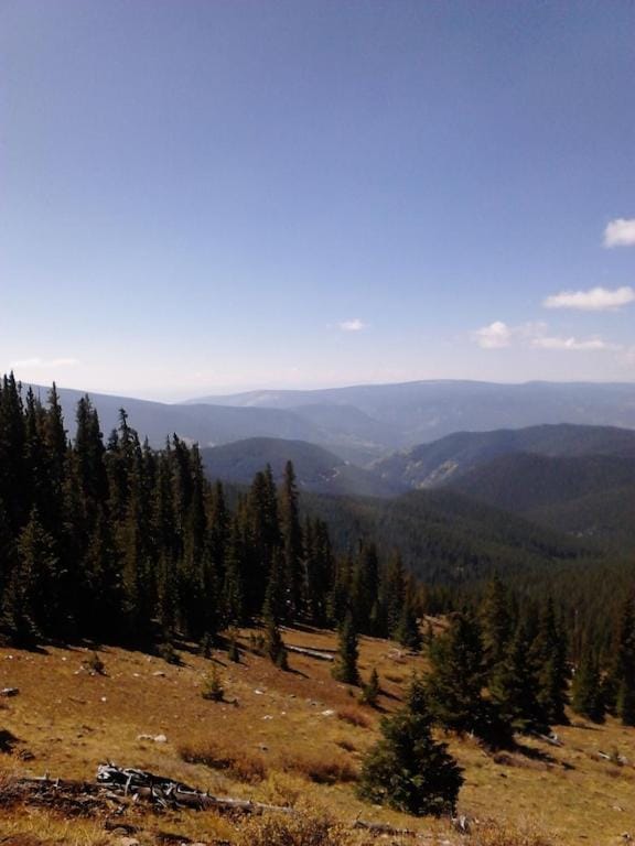 Stay at the Treeline with Fabulous Views! On Top of the World at Ptarmigan Lodge House in Park County