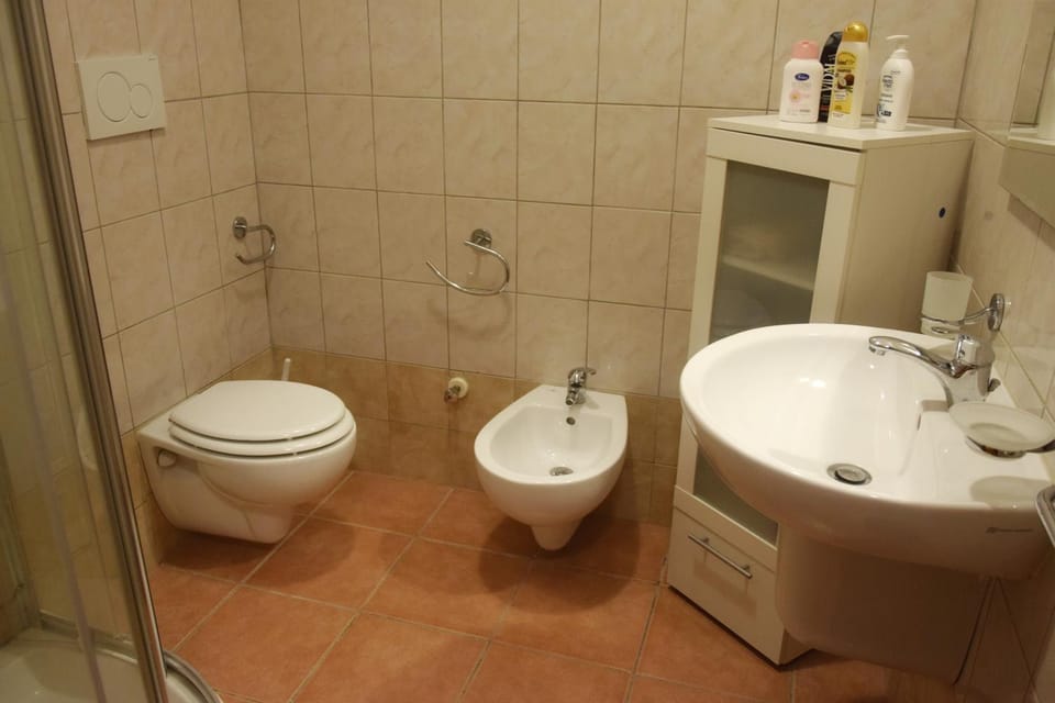 Shower, Toilet, Bathroom, bidet