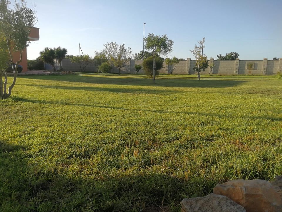Garden, Garden view