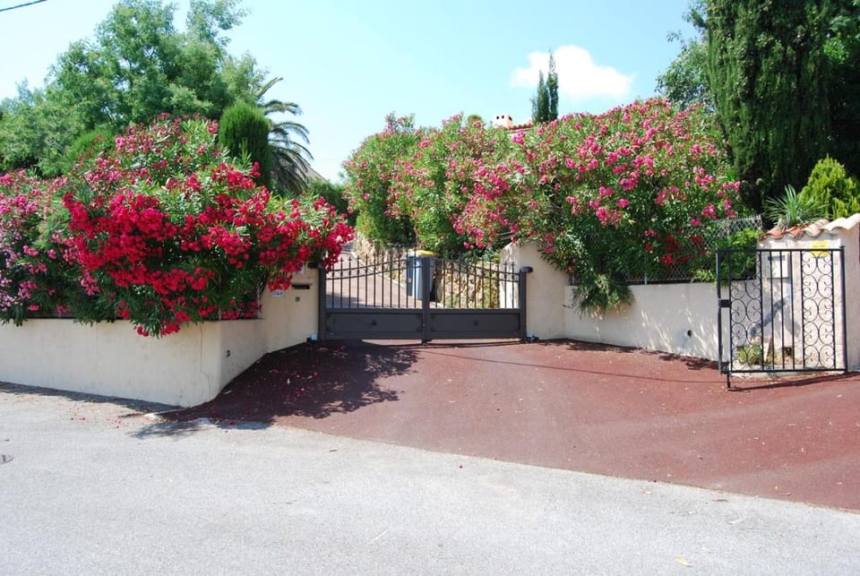 Day, Garden, Garden view